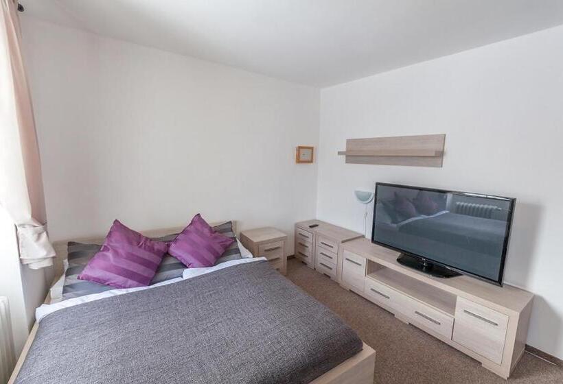 膳宿费 Penzion Bernard