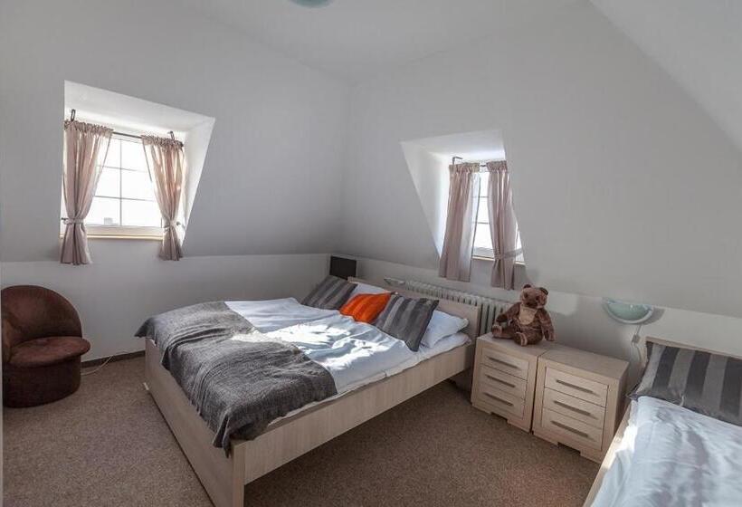 膳宿费 Penzion Bernard