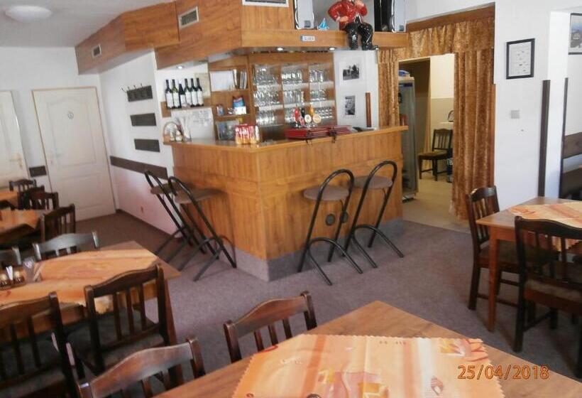 ペンション Penzion Oliver