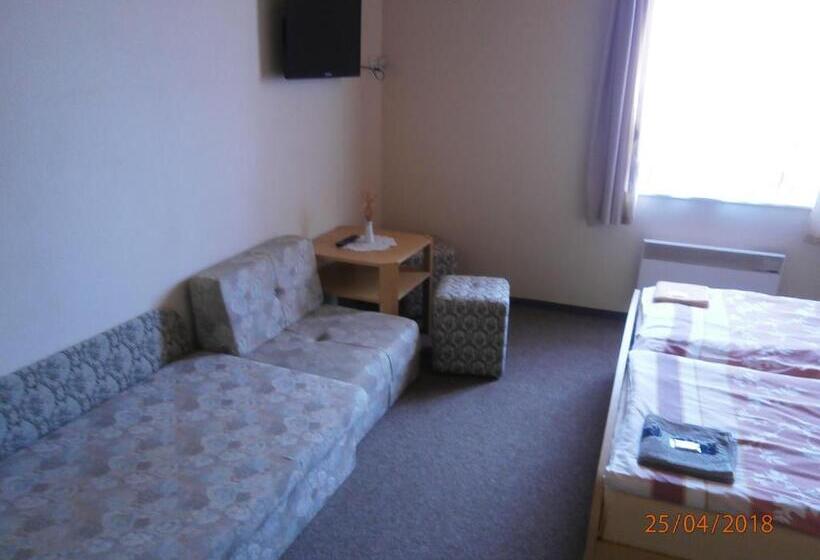 ペンション Penzion Oliver