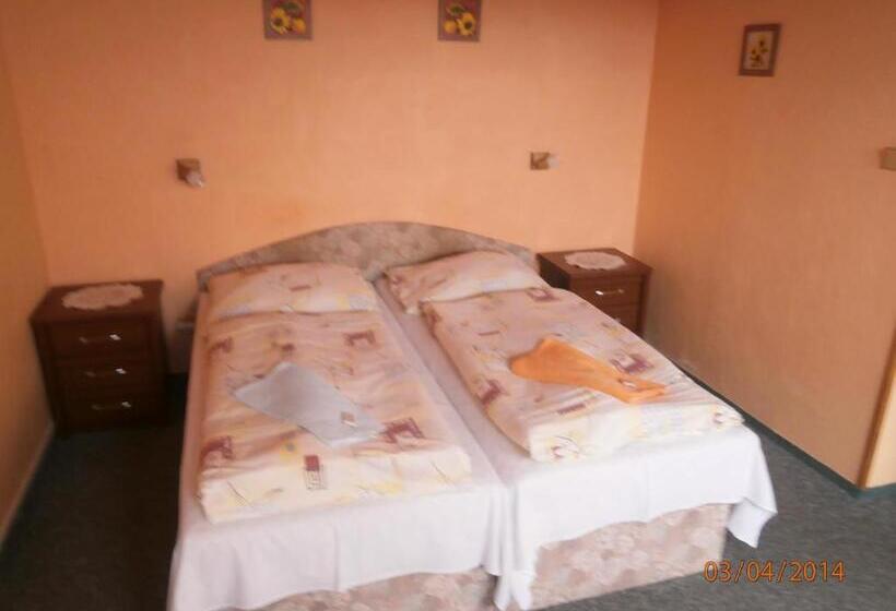 ペンション Penzion Oliver