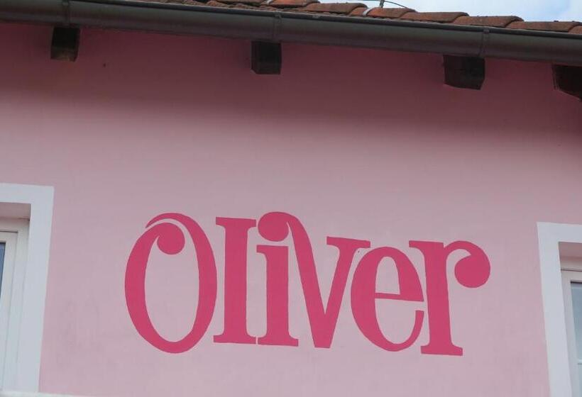 ペンション Penzion Oliver