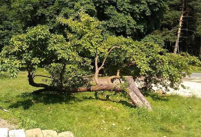 פנסיון Penzion Slunečno