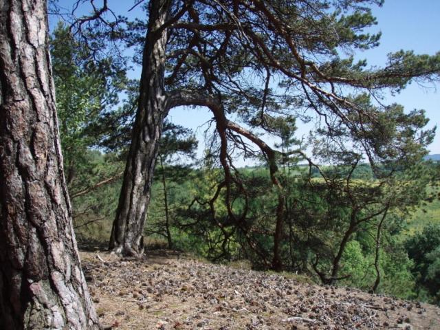 פנסיון Penzion Slunečno