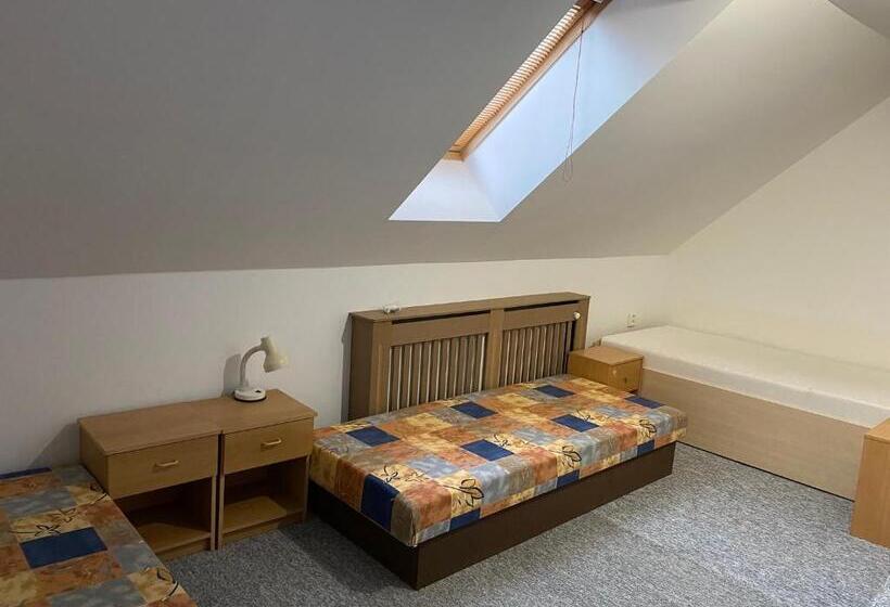 膳宿费 Penzion U Horejšů, Zadov Churáňov