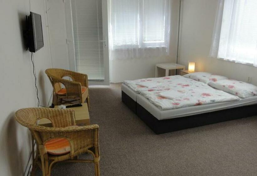 پانسیون Penzion U Hradeb