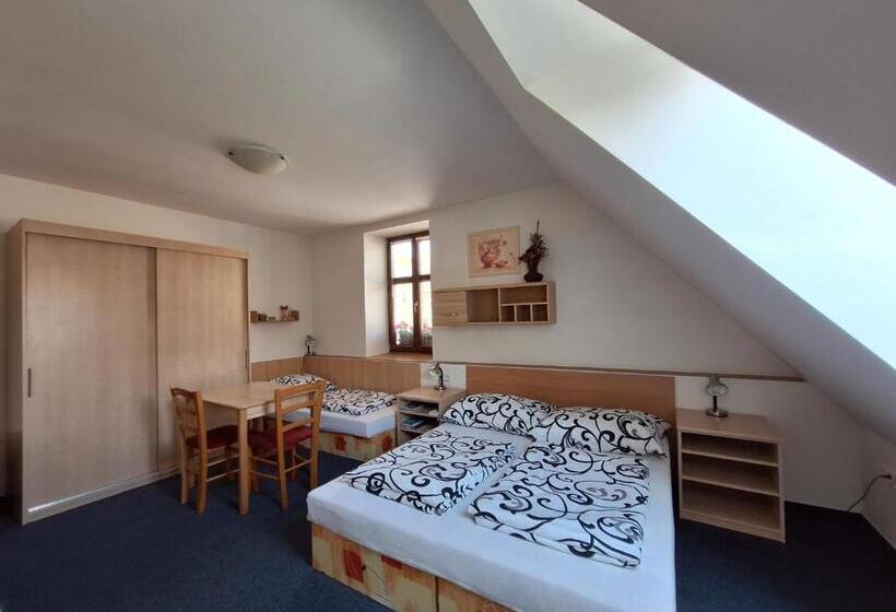 פנסיון Penzion U Vorlíčků