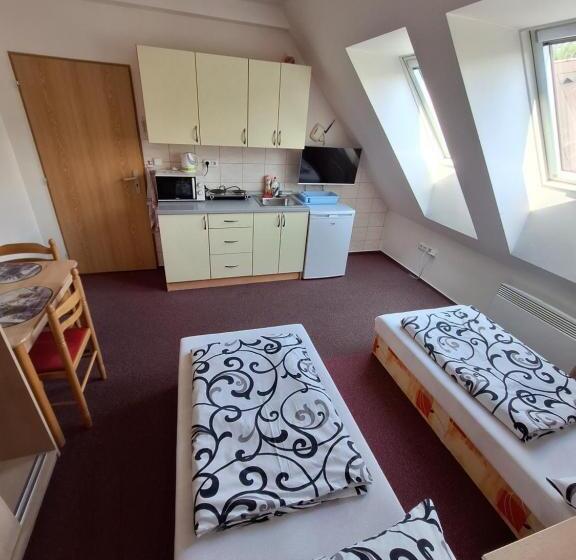 פנסיון Penzion U Vorlíčků