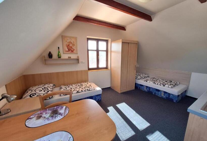 פנסיון Penzion U Vorlíčků