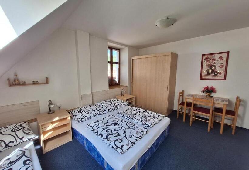 פנסיון Penzion U Vorlíčků