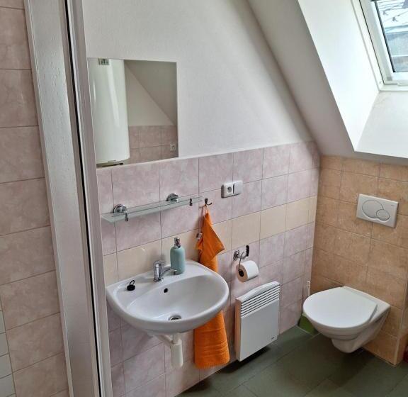 פנסיון Penzion U Vorlíčků