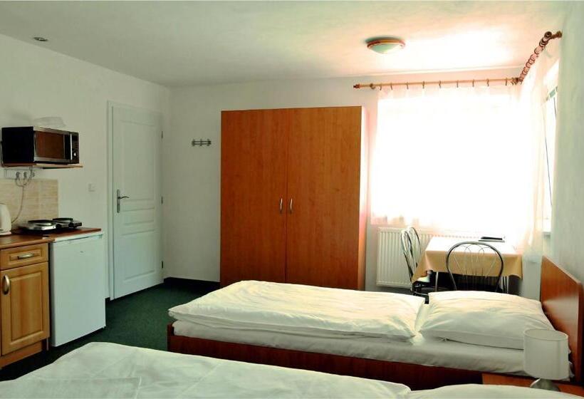 פנסיון Penzion Ve Vile