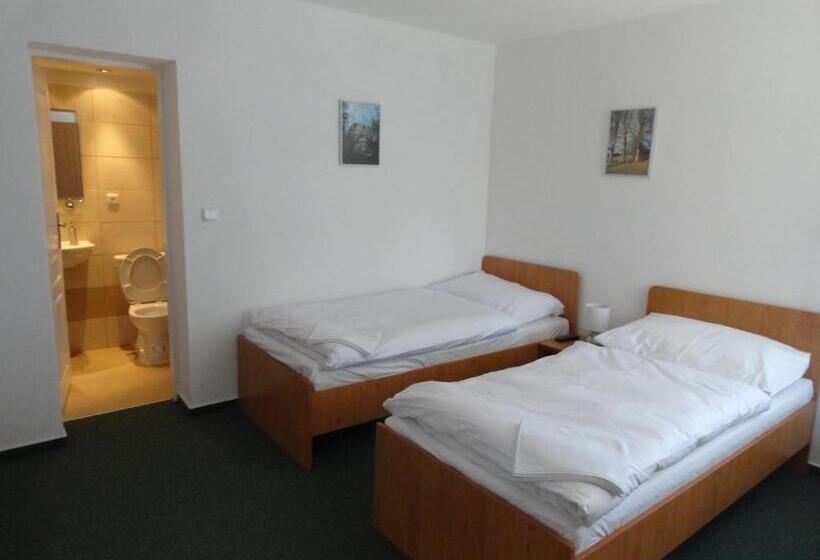 פנסיון Penzion Ve Vile