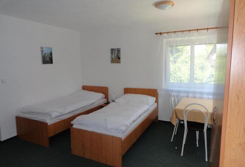 פנסיון Penzion Ve Vile