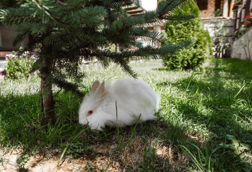 بنسيون Topalovi Guest House