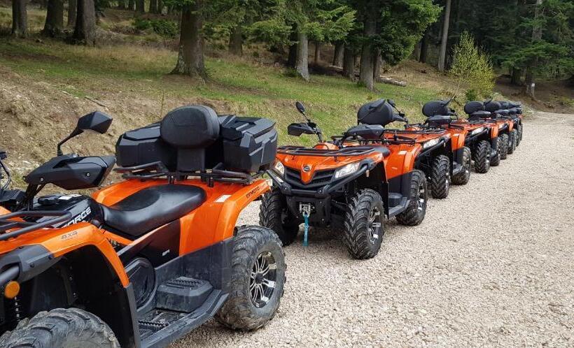 פנסיון Vila Alunis