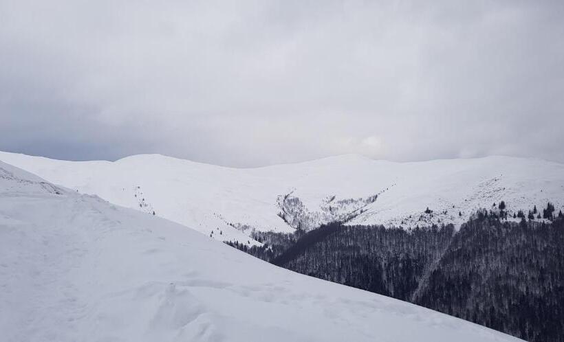 פנסיון Vila Alunis