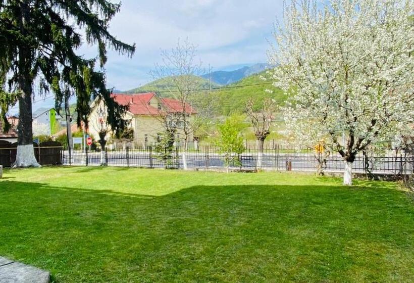 פנסיון Vila Themis