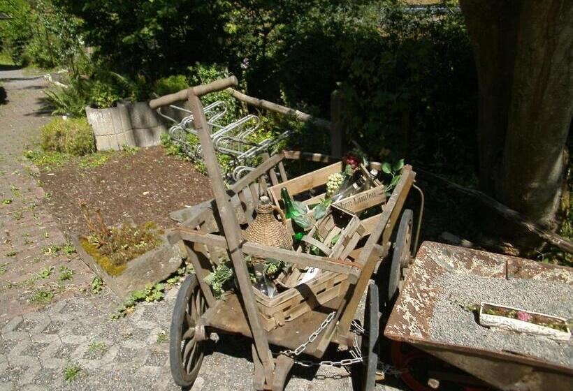 Pension & Apartments Linkemühle