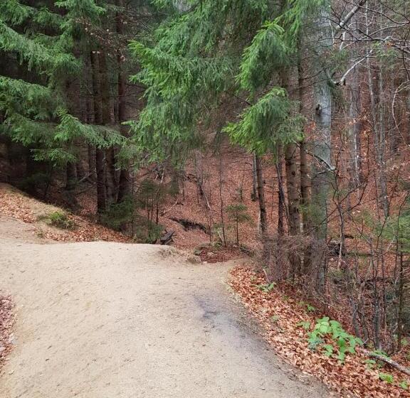 Pensiunea Casa Zarnesteana