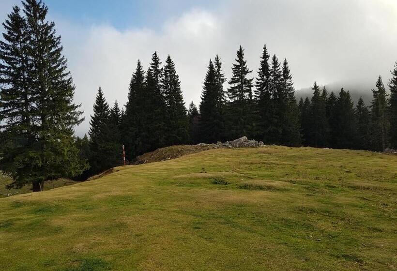 Pensiunea Casa Zarnesteana