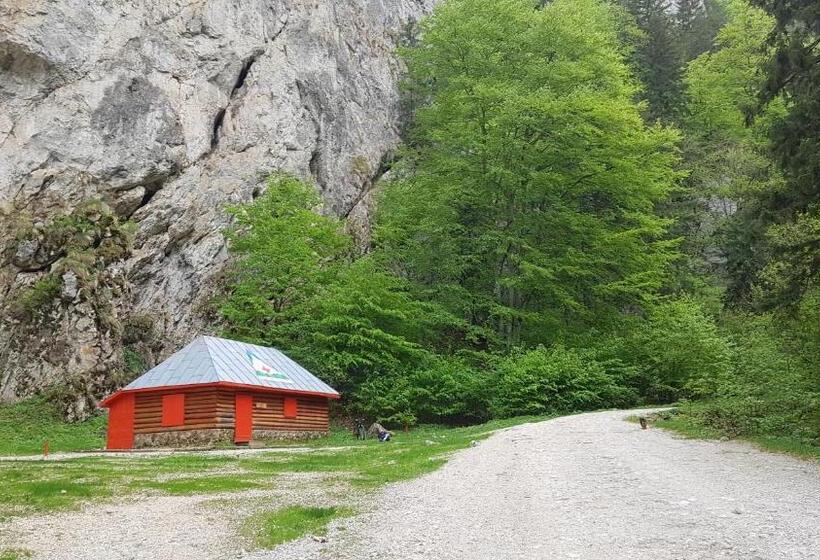 Pensiunea Casa Zarnesteana