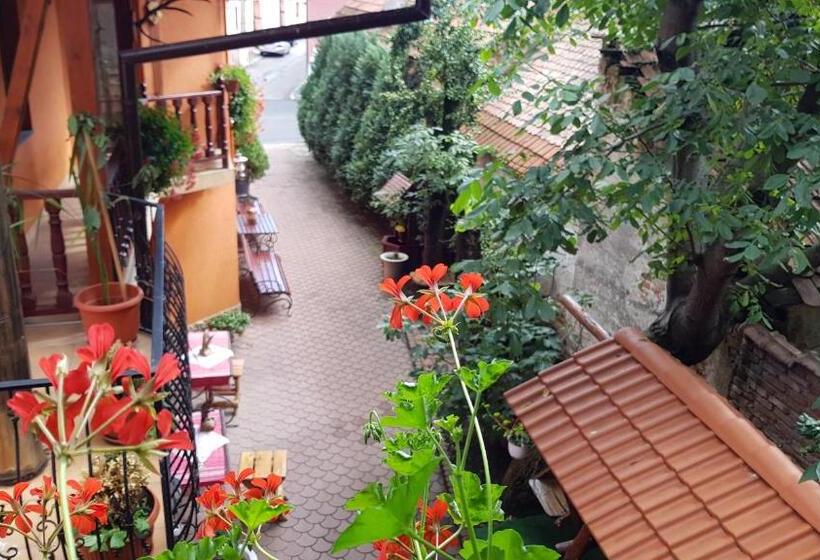 Pensiunea Casa Zarnesteana