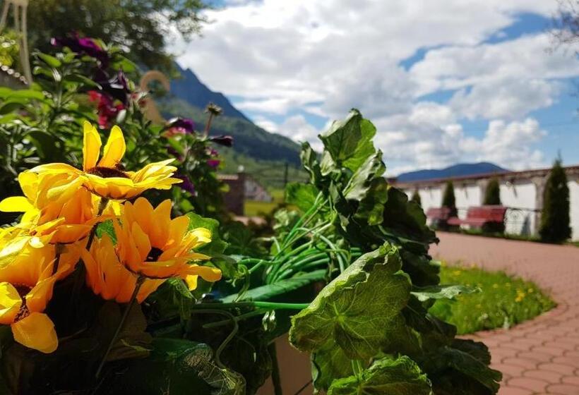 Pensiunea Casa Zarnesteana