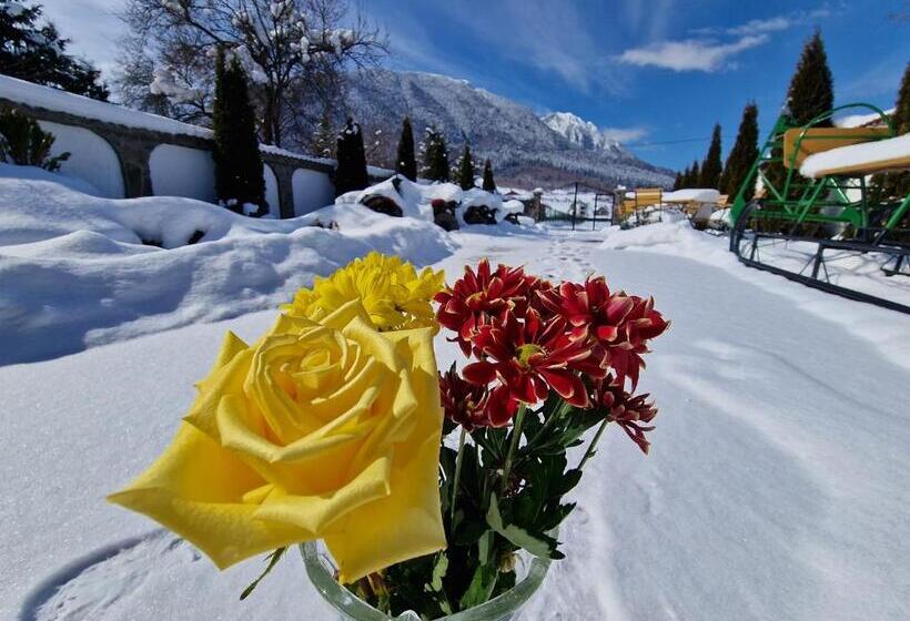 Pensiunea Casa Zarnesteana