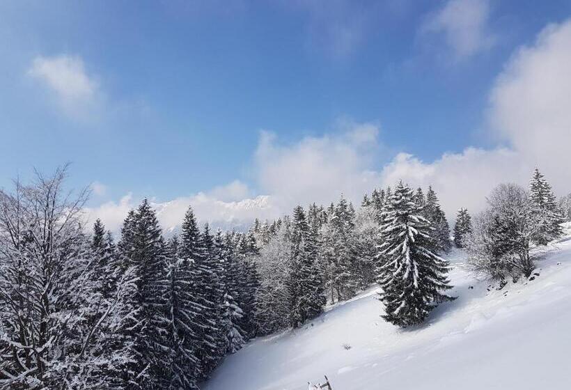 Pensiunea Casa Zarnesteana
