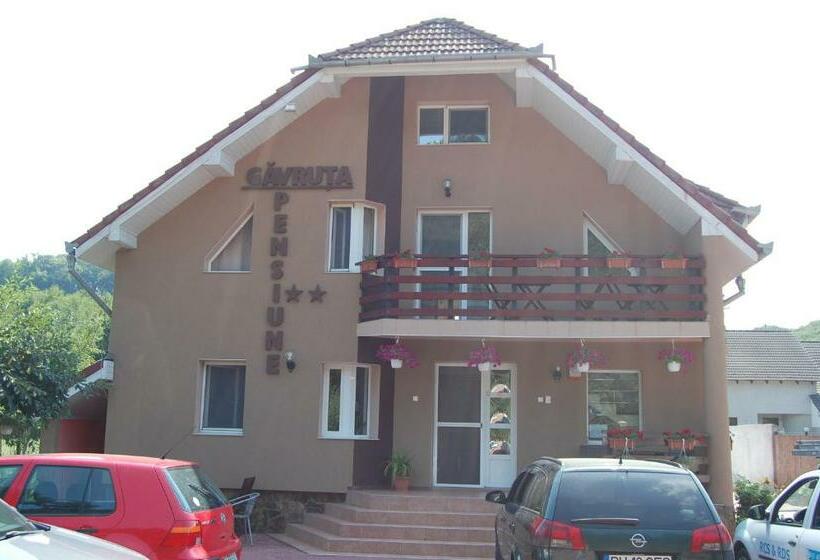 Pensiunea Gavruta