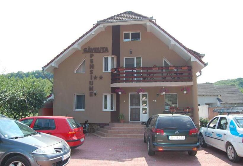 Pensiunea Gavruta