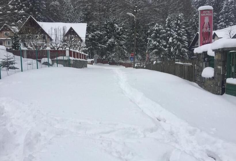 Pensiune & Restaurant Kalinder