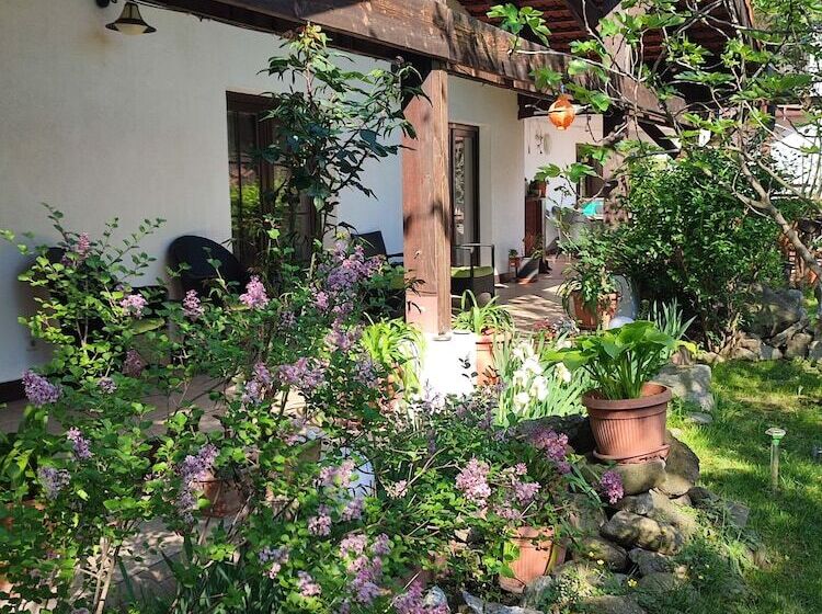 بنسيون Villa La Dolce Vita