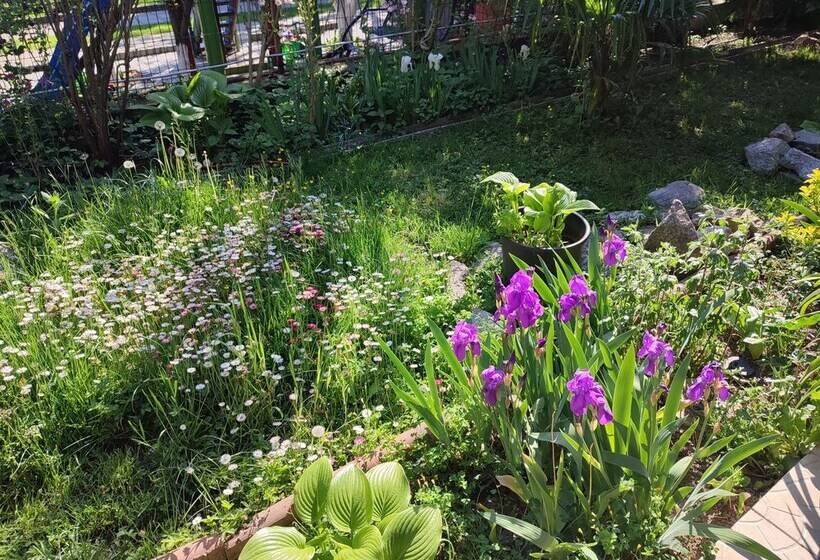 بنسيون Villa La Dolce Vita