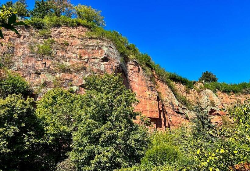 Jupas   Holiday Apartments Trier