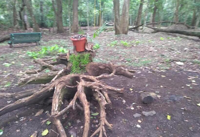 استراحتگاه Periyar House