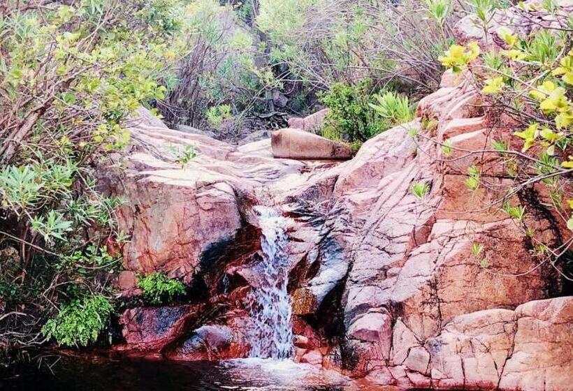 Stella Maris   Abba Urci