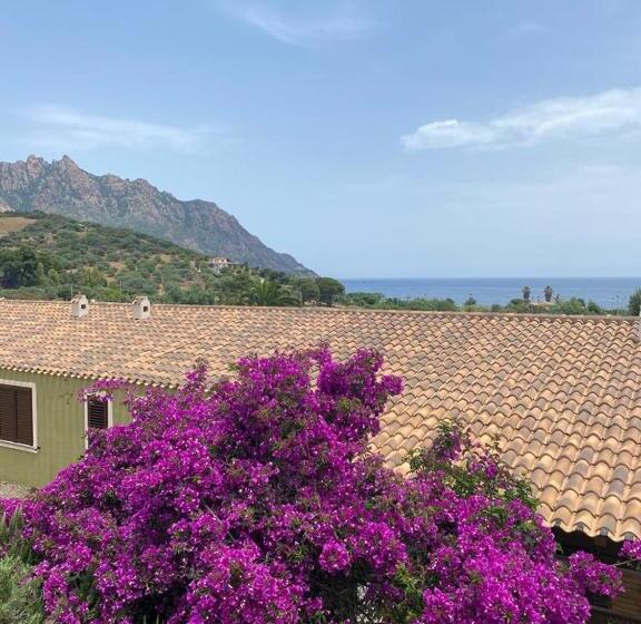 Stella Maris   Abba Urci