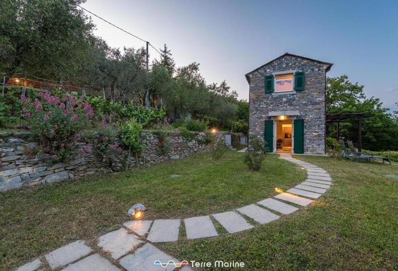 Villa Ca Damare, Terremarine