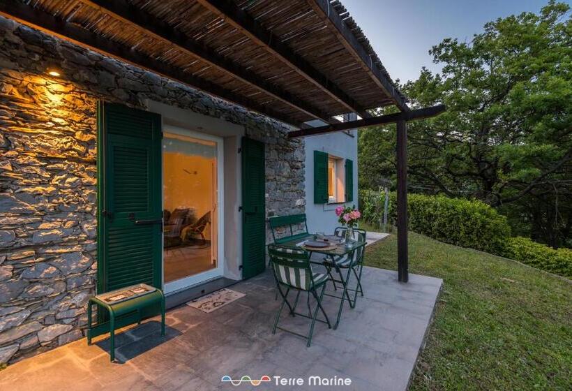 Villa Ca Damare, Terremarine