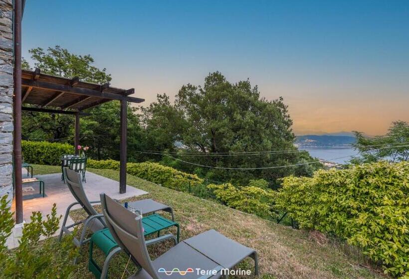 Villa Ca Damare, Terremarine