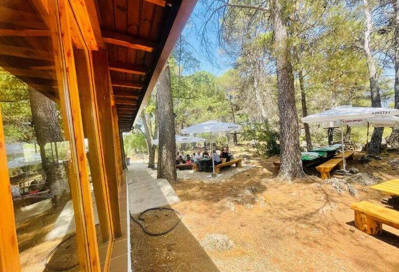 Albergue Hospedería Montaña Morciguillinas