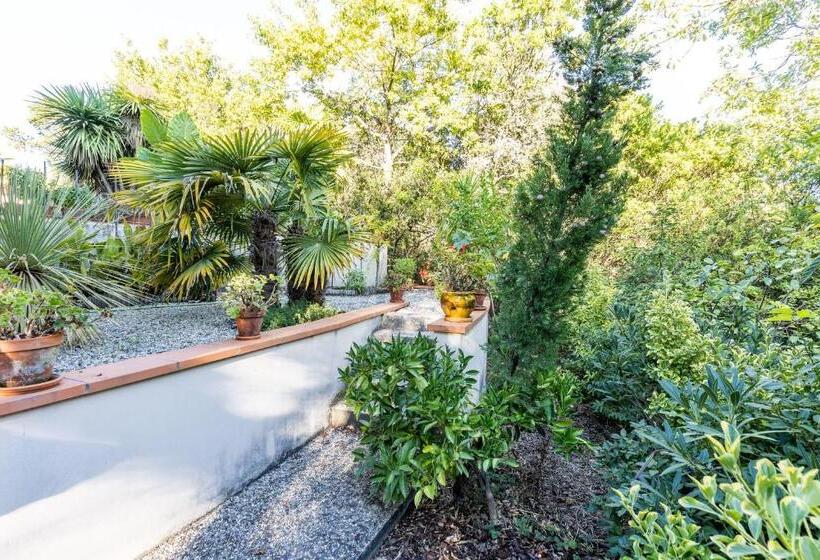 Appartement Lac De Lacanau