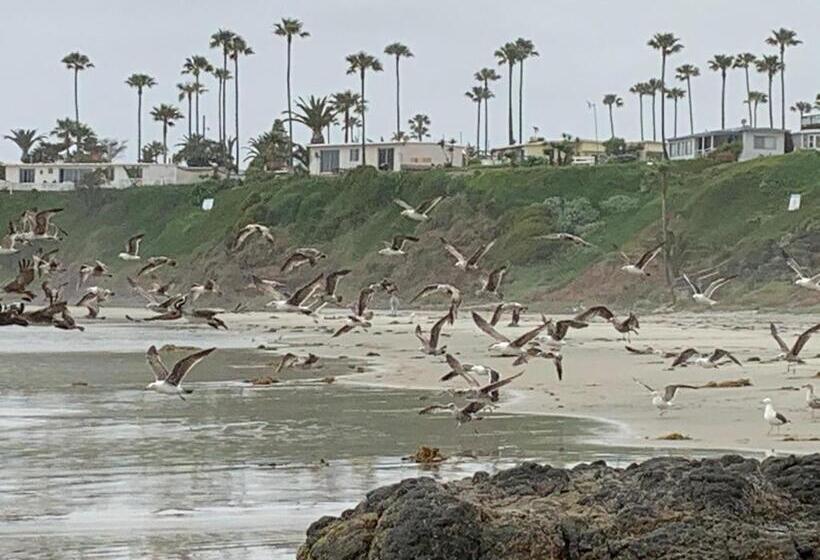 Beachfront 4 Br Penthouse Pool Steps To Beach & Mins To Downtown