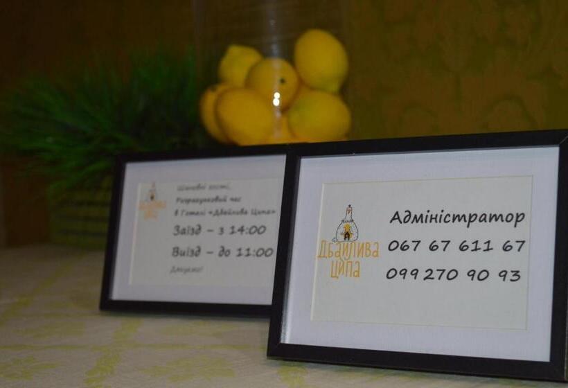 Bed and Breakfast дбайлива ципа