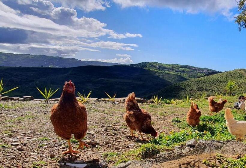 צימר Domus Mare Cilento