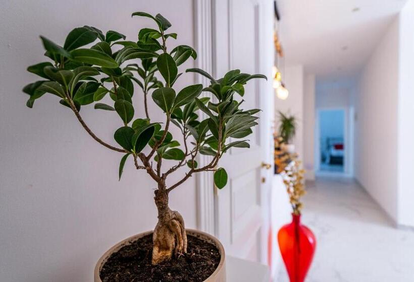 צימר Domus Mare Cilento