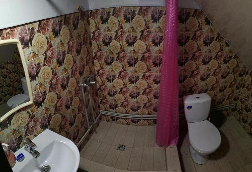 هتل сімейний еко готель вежа бойка