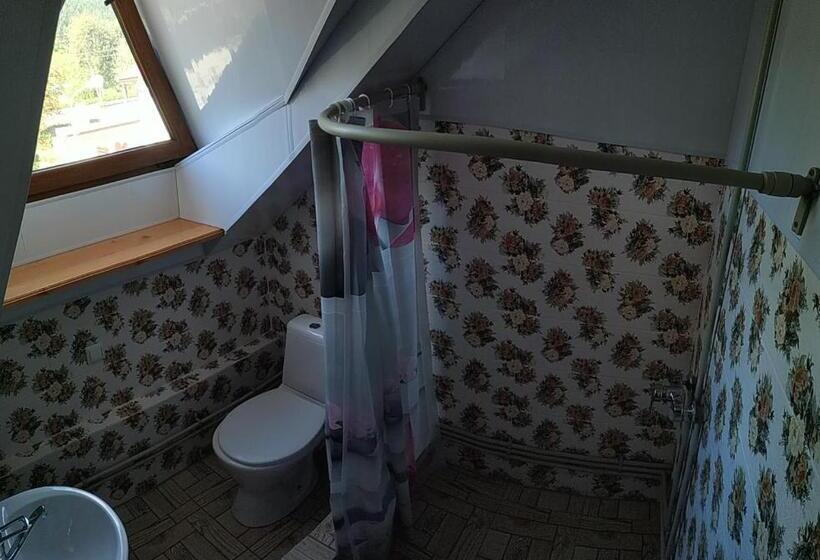 هتل сімейний еко готель вежа бойка